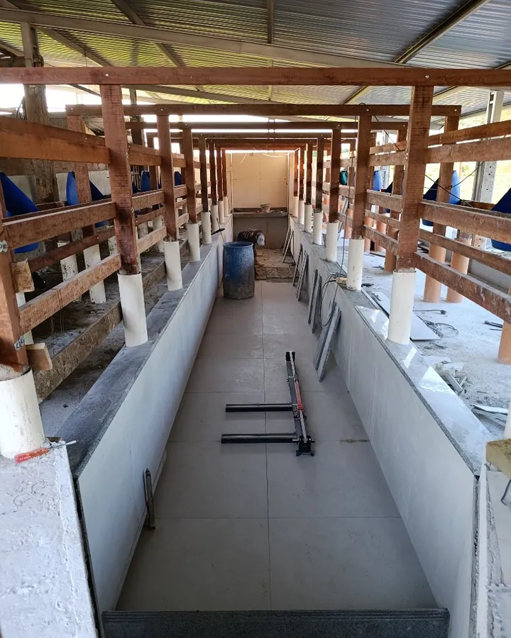 Profissional da Moté Construções assentando piso cerâmico no interior do fosso de ordenha