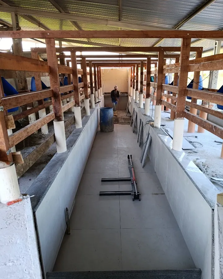Visão em perspectiva do fosso de ordenha com piso instalado, degraus e estrutura de contenção