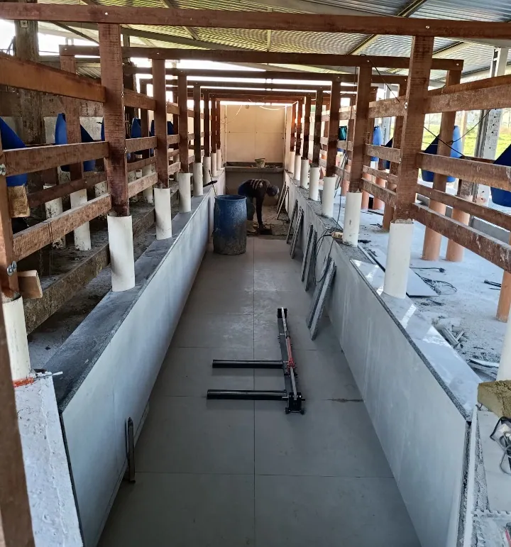 Foto real da sala de ordenha com fosso revestido de cerâmica, bancadas de granito e cochos azuis