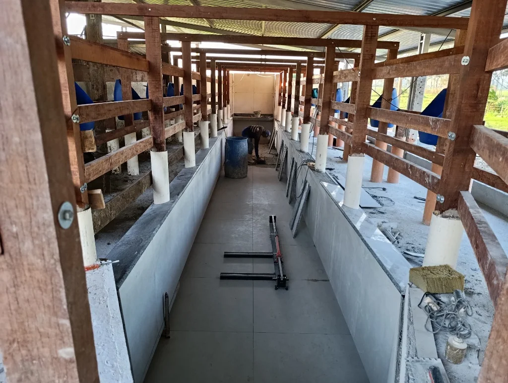 Obra real do fosso de ordenha em fila indiana: paredes e piso revestidos com cerâmica, estrutura de contenção em madeira e cochos azuis executados pela Moté Construções